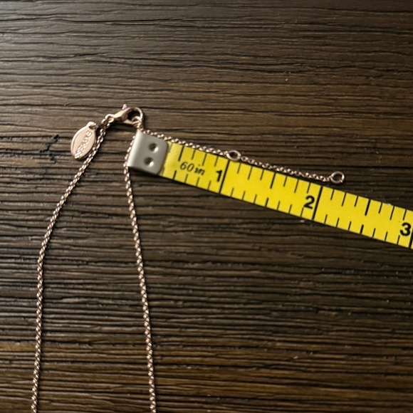 Express Rose Gold Tone Crystal Bar Necklace - Picture 5 of 10